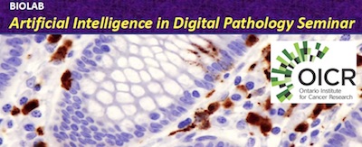 The Future of Diagnosis: Learning to Recognize Similar Images in Digital Pathology